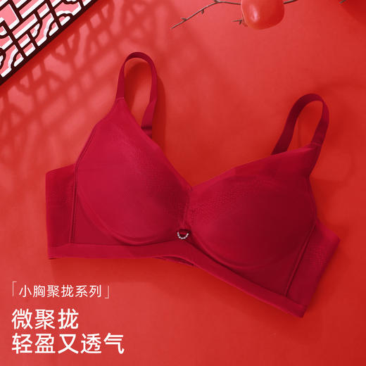 【商场同款】熳洁儿 小胸聚拢文胸性感蕾丝网纱透气舒适22701535 商品图5