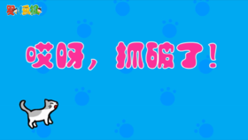 2024年9月 哎呀，抓破了