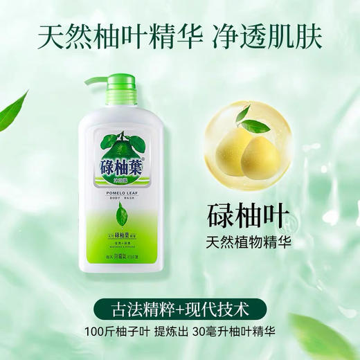 【海关保税直发】香港老瑶姜绿柚叶-天然植物精华沐浴露-会员5折 商品图1
