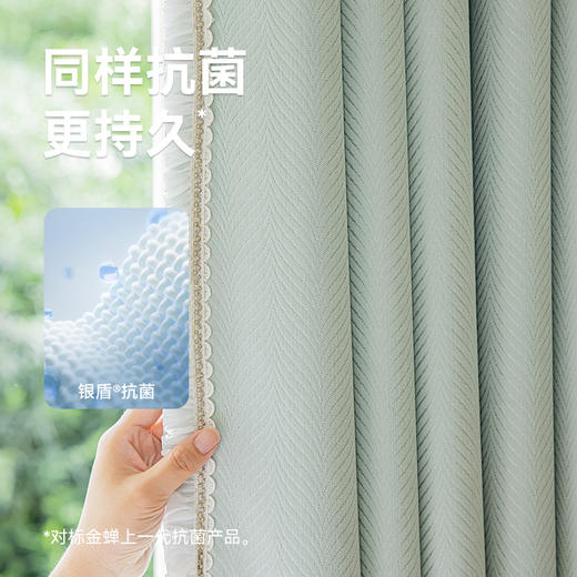 【悦尔】金蝉柔和雪尼尔浮雕肌理窗帘 商品图1