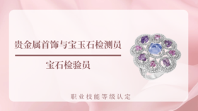 贵金属首饰与宝玉石检测员 | 宝石检验员
