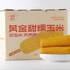 东北黄金甜糯玉米 商品缩略图7