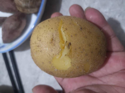 张北小土豆，有机种植，皮薄，蒸着吃非常糯，5斤/袋 商品图1