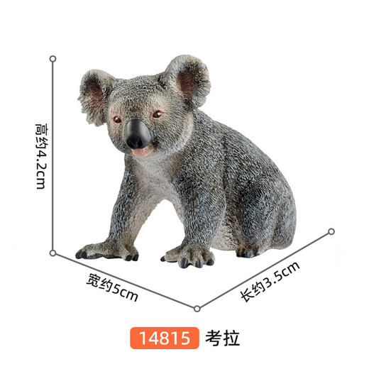 思乐 考拉SCHC14815 商品图1