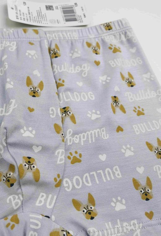 SCHIESSER德国舒雅童装男童莫代尔平角裤3B/23303T 商品图9