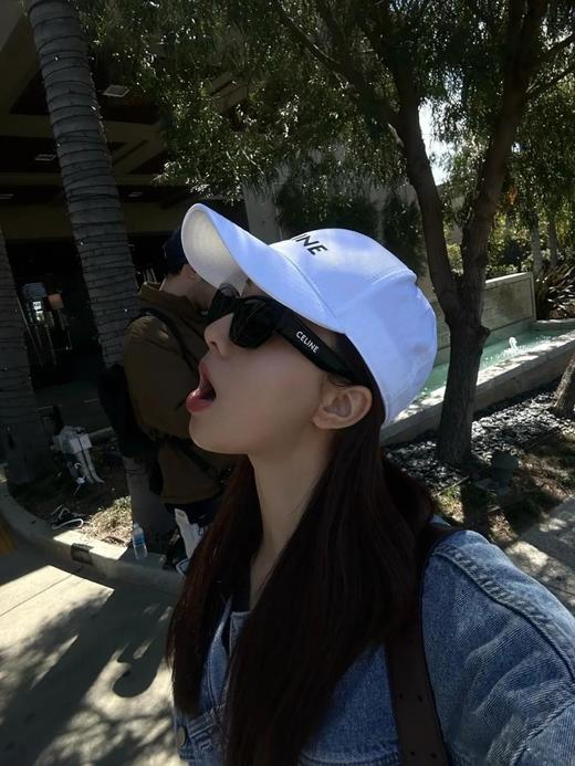 赛琳 凯旋门 经典字母墨镜 太阳镜（AN） 商品图8