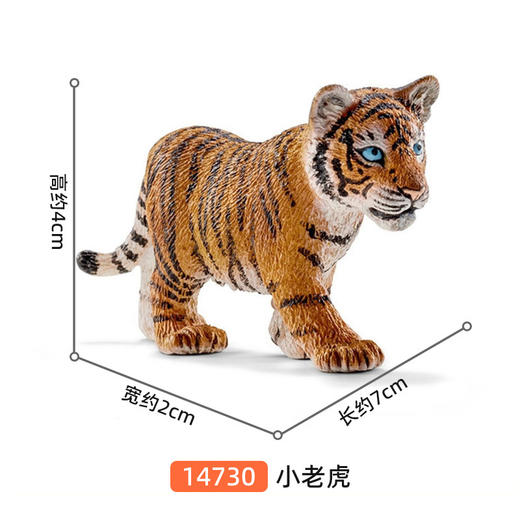 思乐-小老虎SCHC14730 商品图1