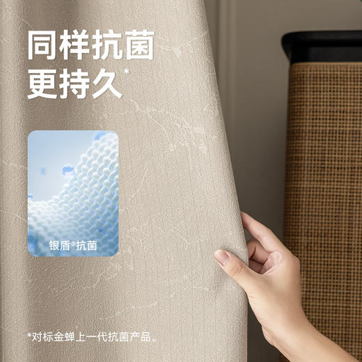 【沁园春月】金蝉轻奢柔滑高精密窗帘 商品图1