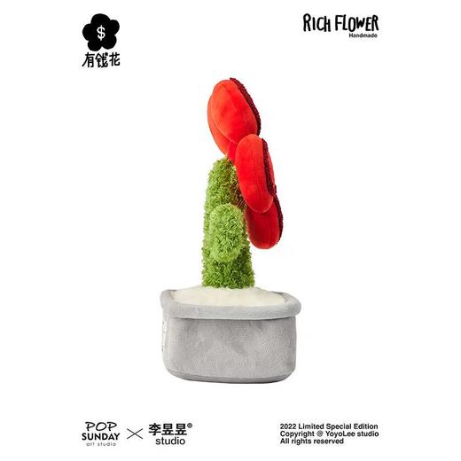 SUNDAY HOME 有钱花摆件 商品图2