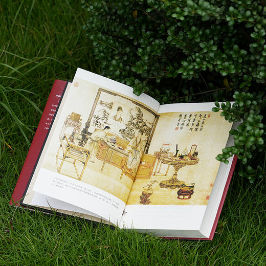 《天有二日：禅让时期的大清朝政》（刷边版/普通版）| 揭秘权利核心圈的微妙关系 深度解读夹缝中的权利博弈 商品图8