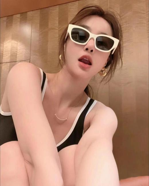 赛琳 凯旋门 经典字母墨镜 太阳镜（AN） 商品图0