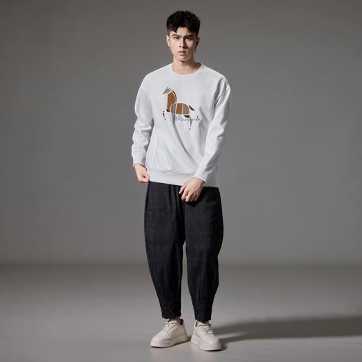 PINLI品立2024秋季新款宽松廓形套头卫衣男士潮牌拼布马休闲上衣BG243109001 商品图5