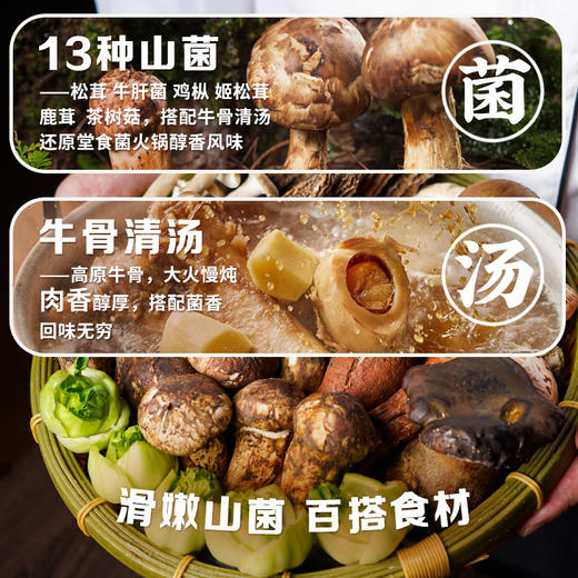 德和 百搭百鲜菌菇火锅汤料420g/盒#云南菌子 商品图2