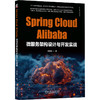 Spring Cloud Alibaba微服务架构设计与开发实战 商品缩略图0