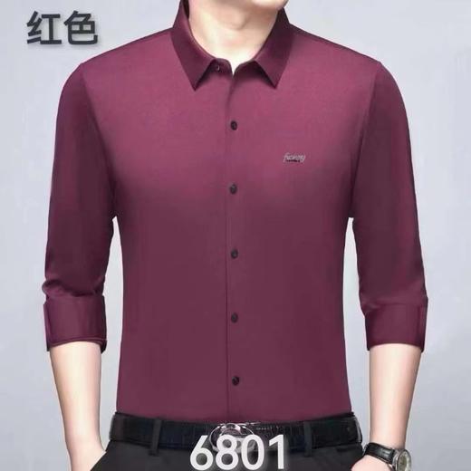 虞峰树 05100802 商品图0