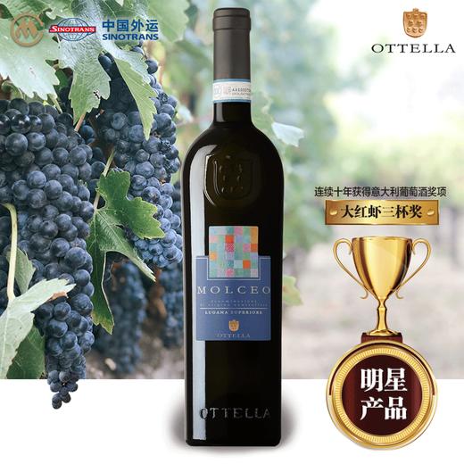 欧德罗庄园莫奇奥白葡萄酒13%vol 750ml/6瓶/箱【年份较大 介意慎拍】 商品图0