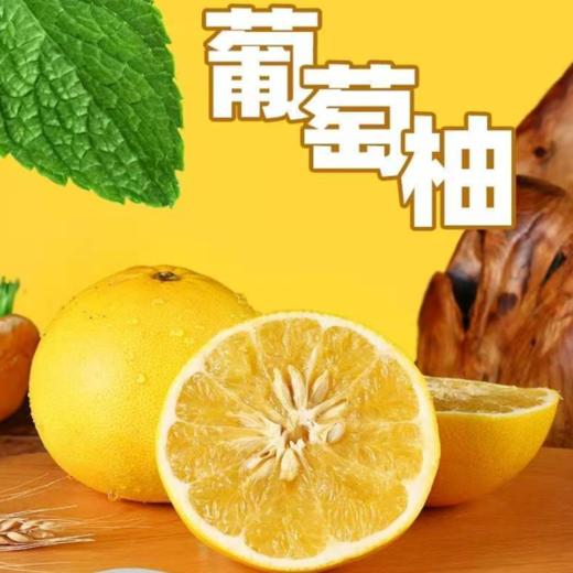 [最农公社]主推|福建黄金葡萄柚清甜爆汁带箱5斤9斤升级礼盒发货（白膜不吃） 商品图4