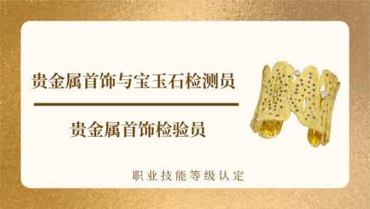 贵金属首饰与宝玉石检测员 | 贵金属首饰检验员 商品图0
