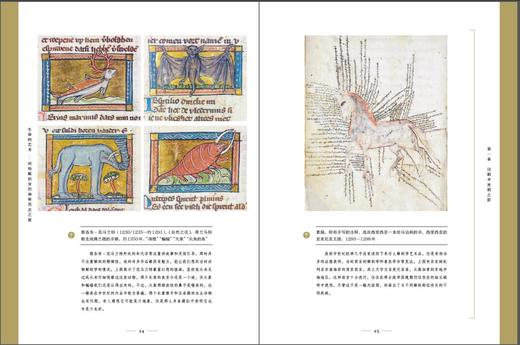 生命的艺术：动物解剖学的神秘历史之旅（全彩） 商品图1