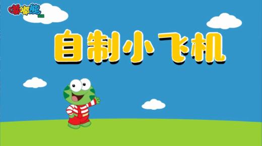 2024年8月 自制小飞机 商品图0