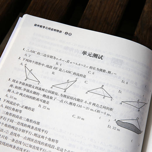 初中数学几何证明特训 上篇、下篇 商品图6