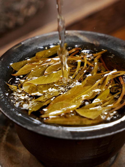 【整提出售】【冰岛王单株】2024年头春头采临沧大忠山700年以上古树茶 近几年升值蕞快的普洱山头 357g/饼 商品图2