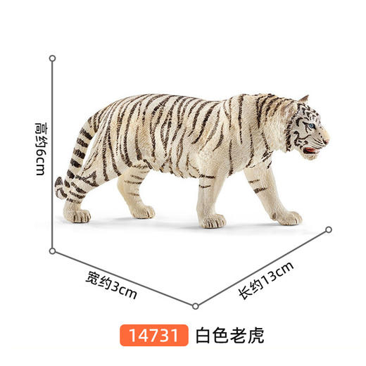 思乐-白色老虎SCHC14731 商品图1