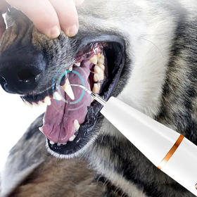 Nice Pet狗狗超声波洁牙