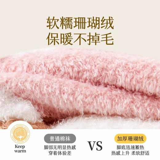 M2904-3（12-14cm / 鞋码16-20 / 1-2岁宝宝袜）贝比珊瑚绒童袜3双装 商品图3