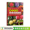 现代果树优质高效栽培【中国农业出版社官方正版，可开发票】 商品缩略图1