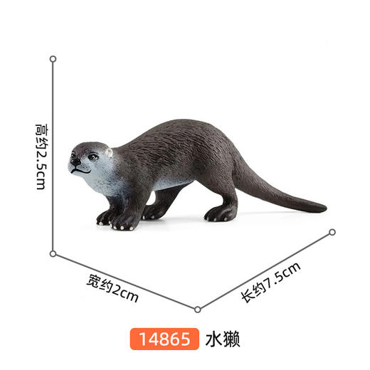 思乐水獭SCHC14865 商品图1