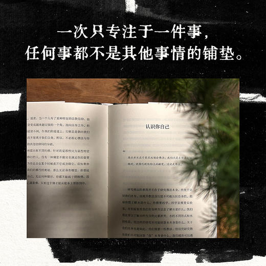 禅者的初心（以觉察的方式度过每一天） 商品图2