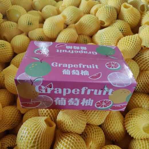 [最农公社]主推|福建黄金葡萄柚清甜爆汁带箱5斤9斤升级礼盒发货（白膜不吃） 商品图8
