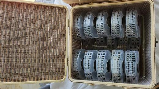 竹筐16只全母金秋蟹礼礼盒 商品图1