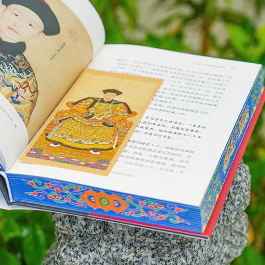 《天有二日：禅让时期的大清朝政》（刷边版/普通版）| 揭秘权利核心圈的微妙关系 深度解读夹缝中的权利博弈 商品图1