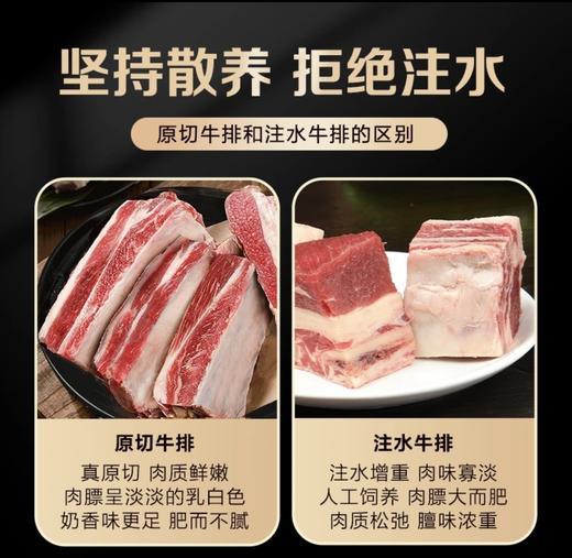 精选草原散养原切四肋牛排2500g家用炖煮食材 商品图4