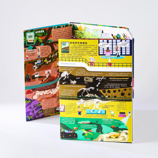 《好玩大科普系列：恐龙大探秘》 商品图8