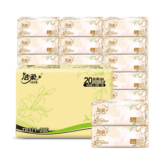 TR354-20E洁柔牌纸面巾(订制软抽)100抽3层(20包装) 商品图0