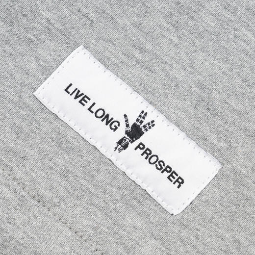 S.LAB | NASA系列灰色五分休闲短裤 商品图3