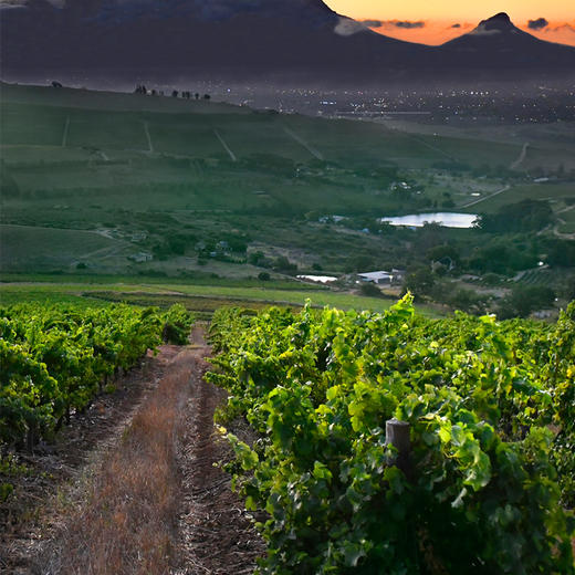 贝灵瀚酒庄伯纳德系列篮式压榨西拉红葡萄酒 Bellingham The Bernard Series Basket Press Syrah Limited Release 商品图4