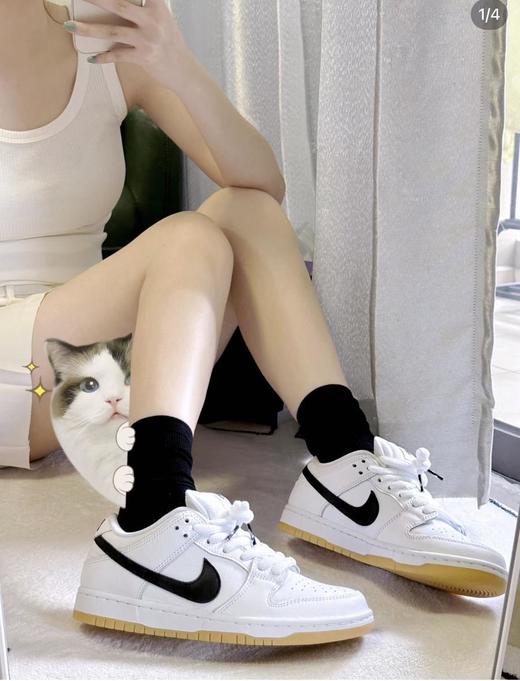 耐克-Dunklow多色合集（DD） 商品图1