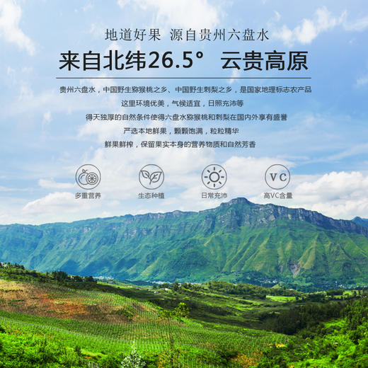 L弥你红猕猴桃刺梨复合原液35ml*10袋 商品图4