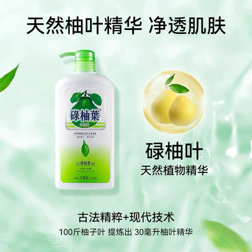 【海关保税直发】香港老瑶姜绿柚叶-天然植物精华沐浴露-会员5折 商品图3