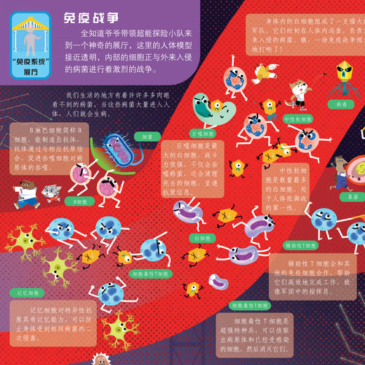 《好玩大科普系列：人体大探秘》 商品图10