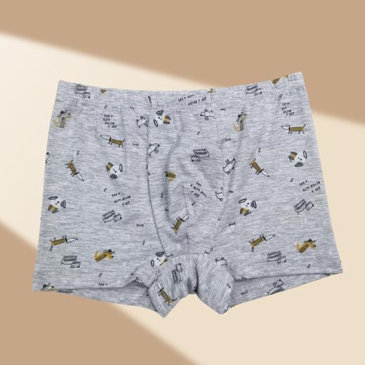 SCHIESSER德国舒雅童装男童莫代尔平角裤3B/23303T 商品图1