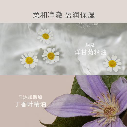 EVE LOM伊芙珑洁颜油胶囊50粒「次抛卸妆油」 商品图1