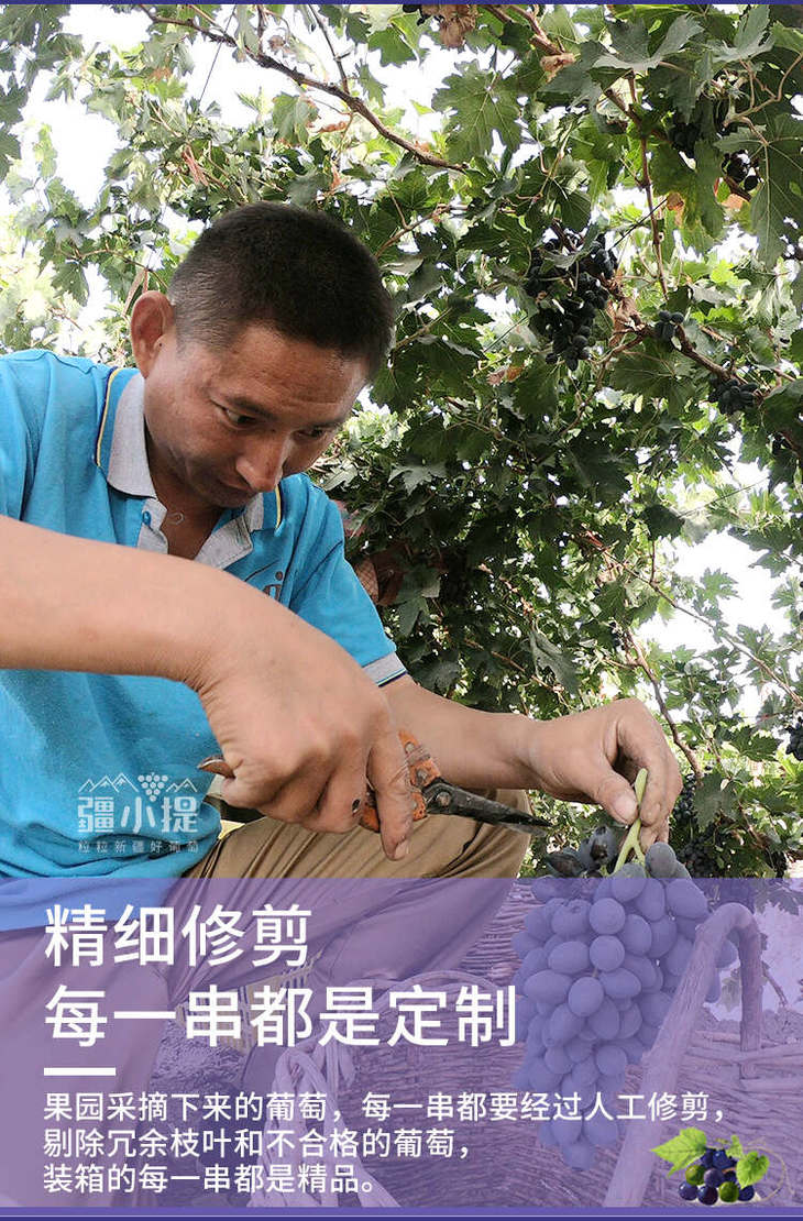 2024黑美人_10.jpg 2024黑美人_10.jpg