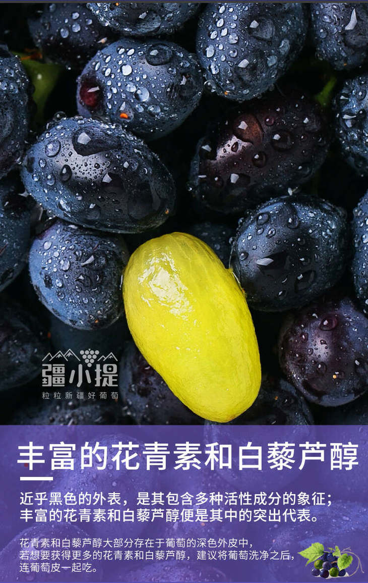 2024黑美人_07.jpg 2024黑美人_07.jpg