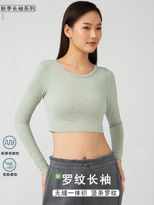 哈瓦塔秋装含胸垫短款运动长袖H340147 商品图0