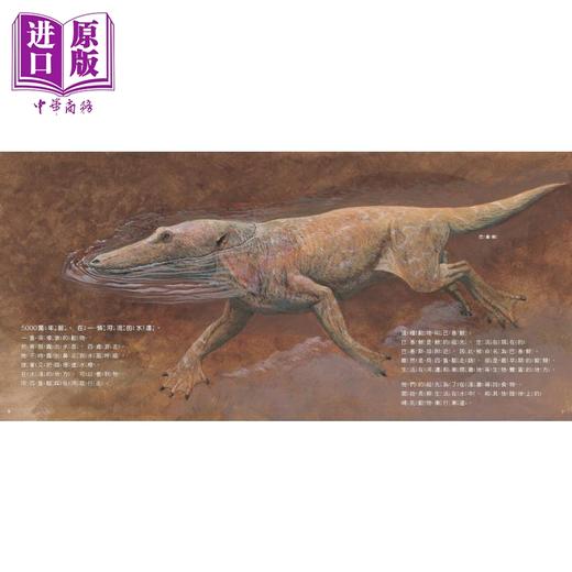【中商原版】从陆地到海洋 鲸的演化 新的鲸知识 海洋科学绘本 港台原版 儿童知识绘本 自然科学读物 动物百科图画书 精装童书 商品图1